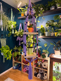 Macrame Shelf Ceiling Hanger