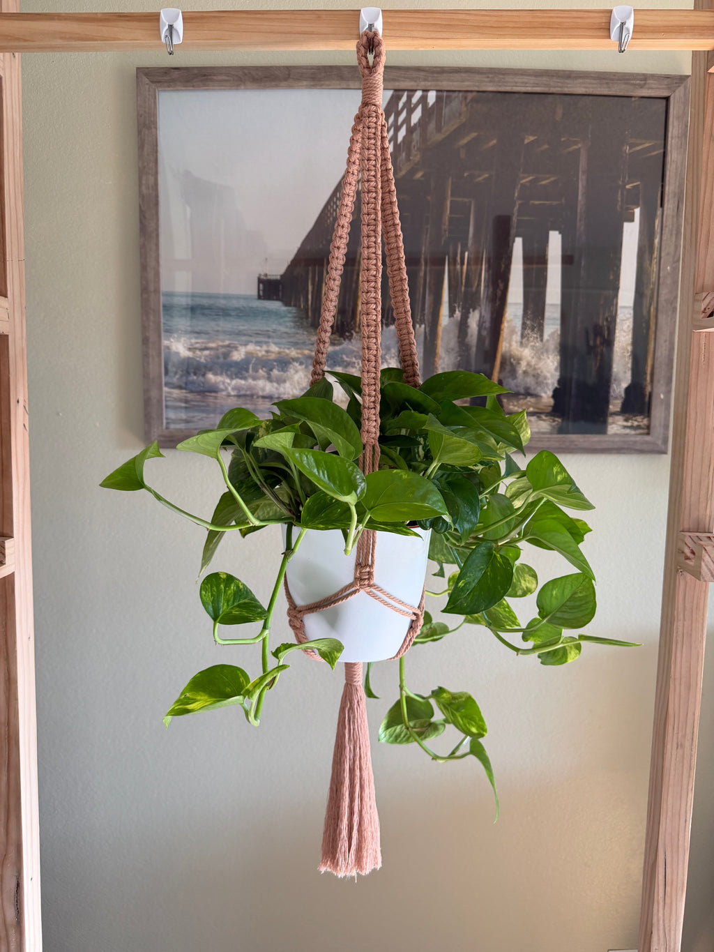 Classic Macrame Plant Hanger