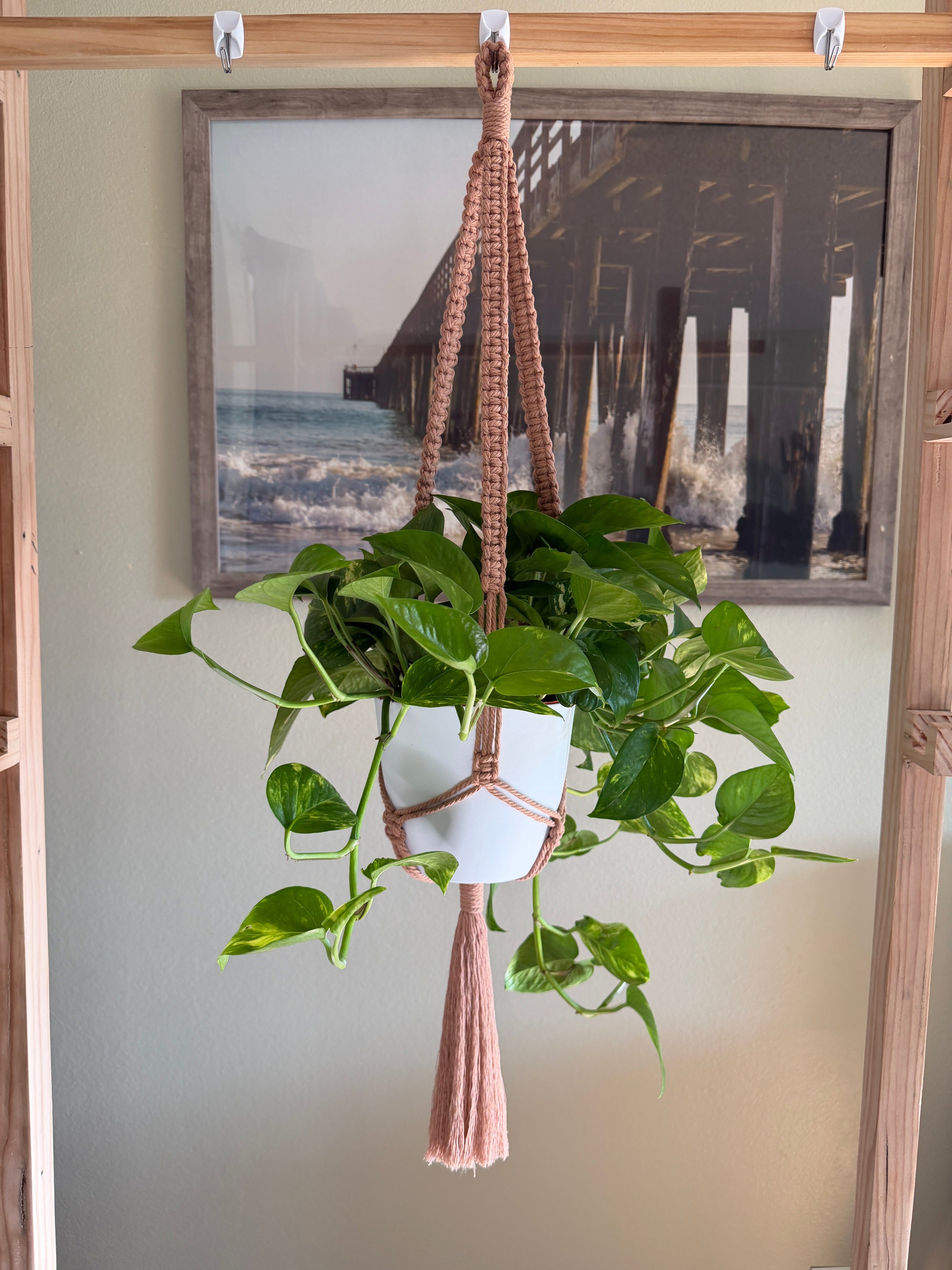Classic Macrame Plant Hanger
