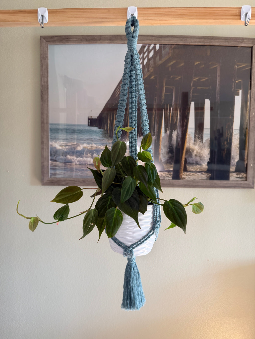 Classic Macrame Plant Hanger
