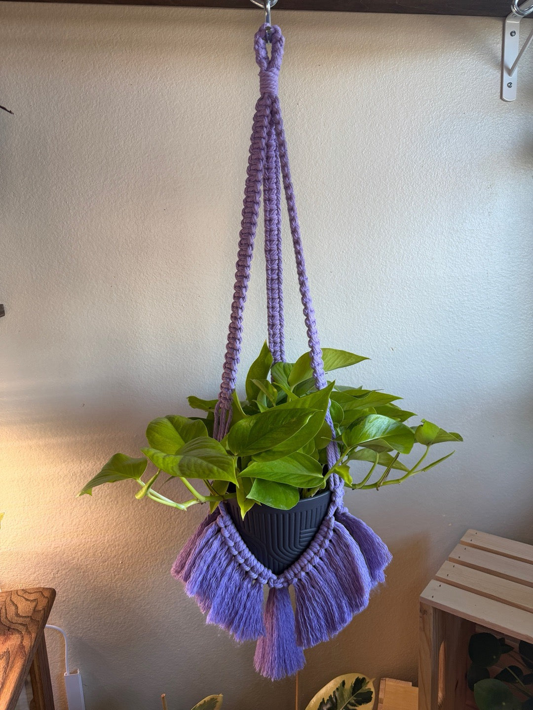 Brushed Out Flair Plant Hanger