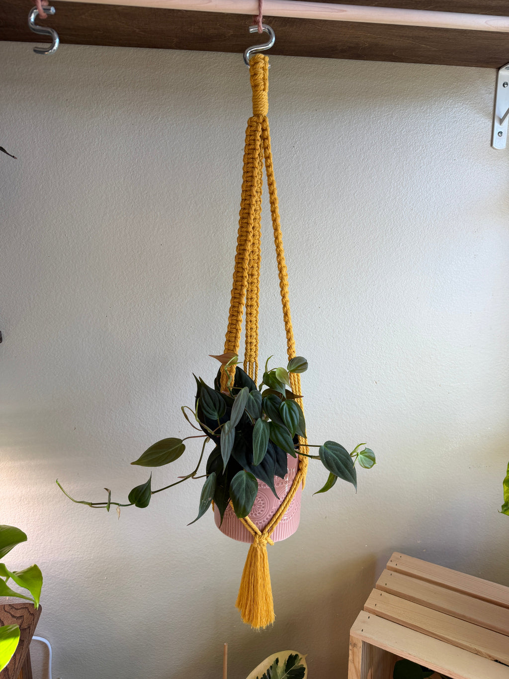 Classic Macrame Plant Hanger
