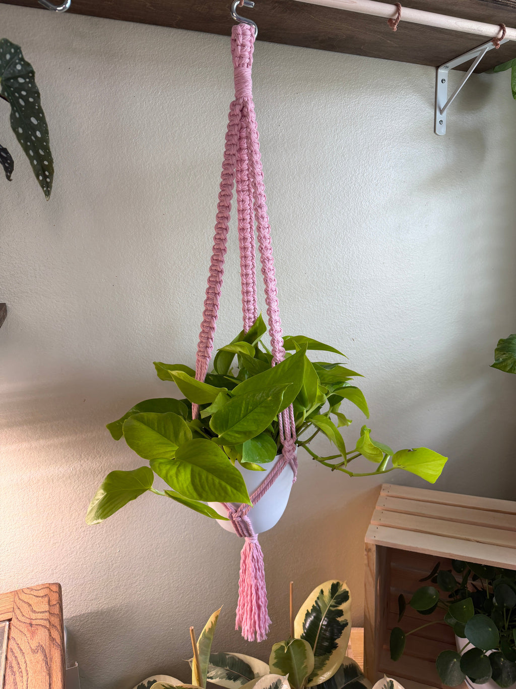 Classic Macrame Plant Hanger