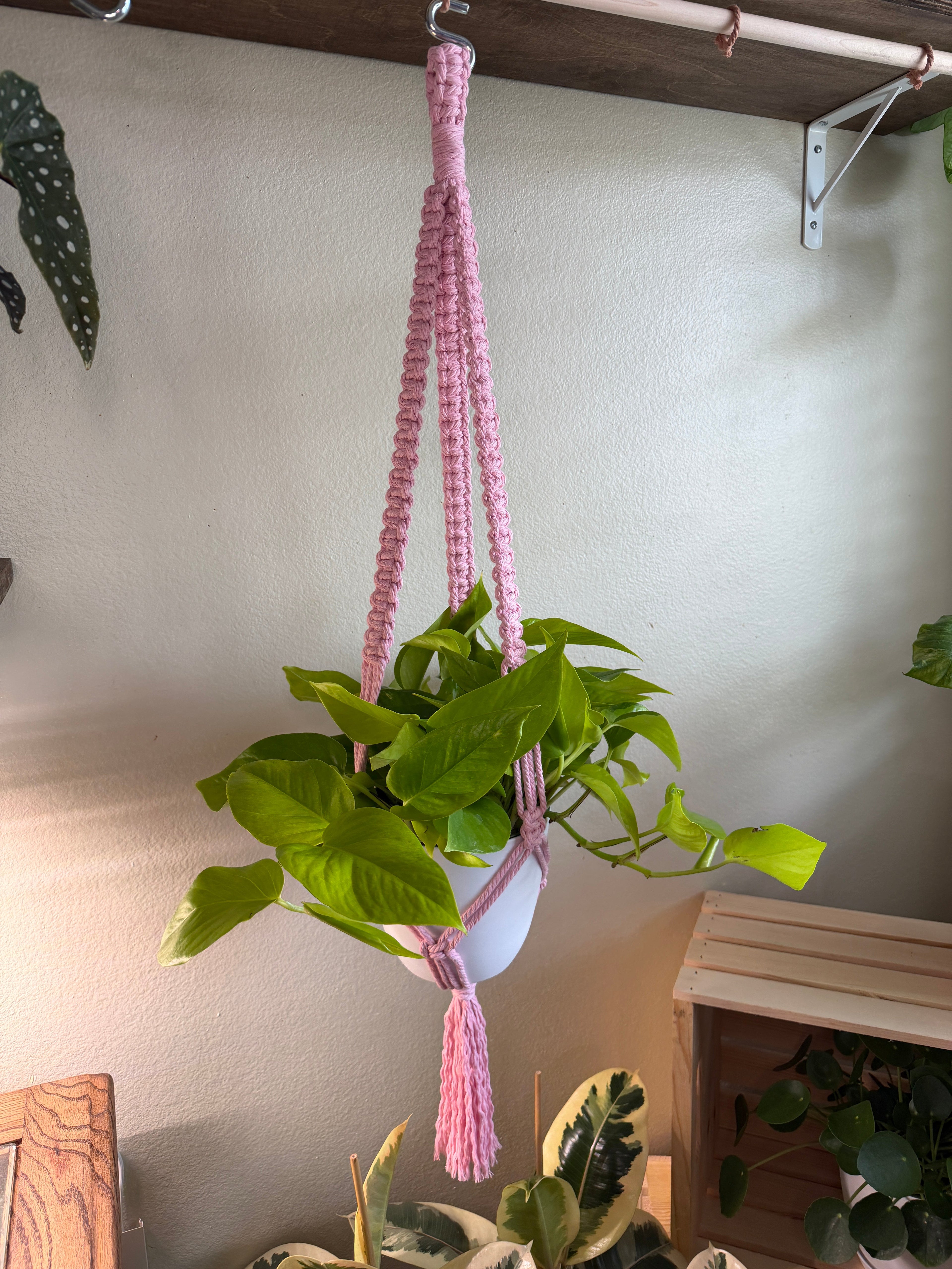 Classic Macrame Plant Hanger