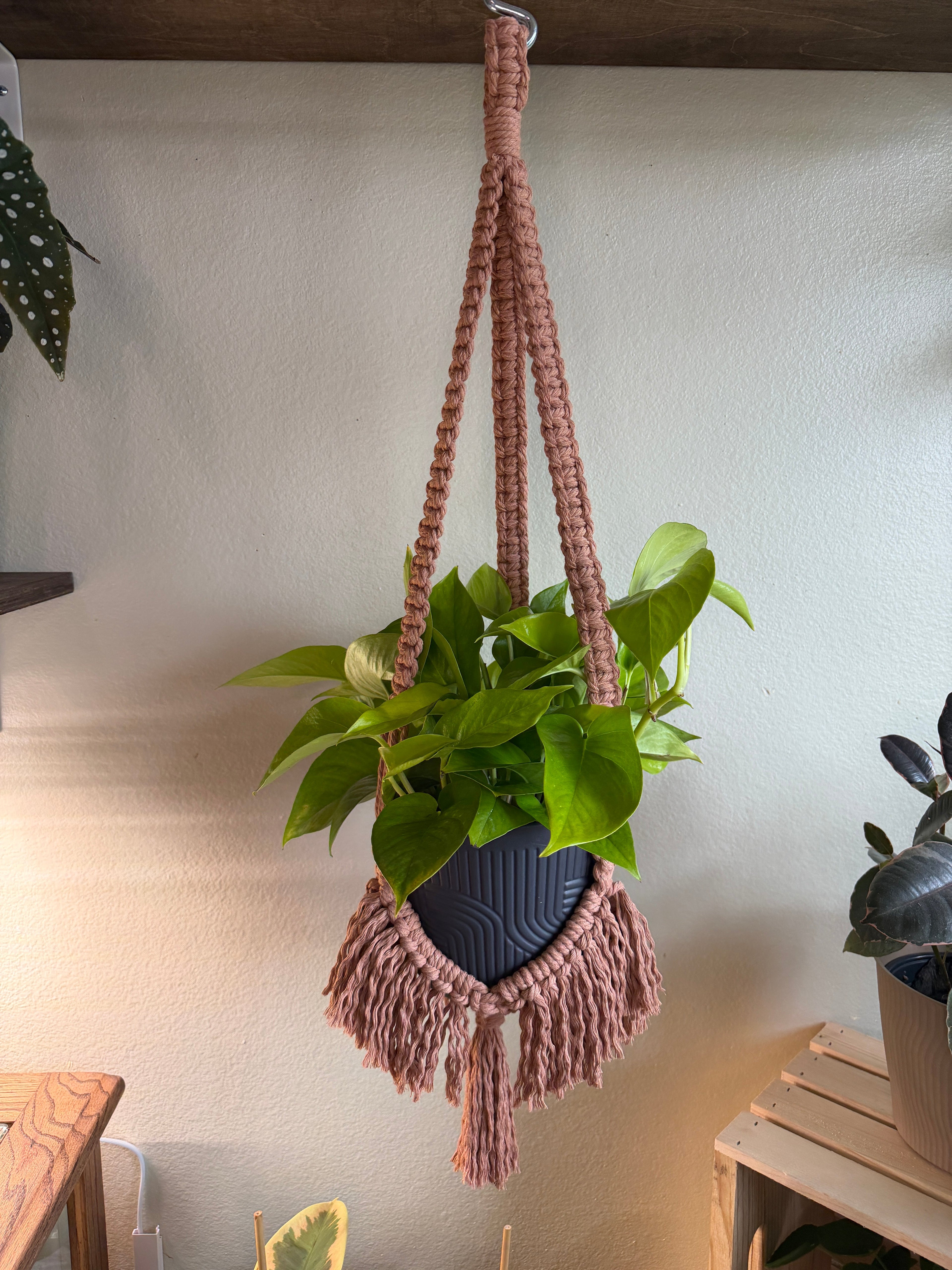 Boho Flair Macrame Plant Hanger
