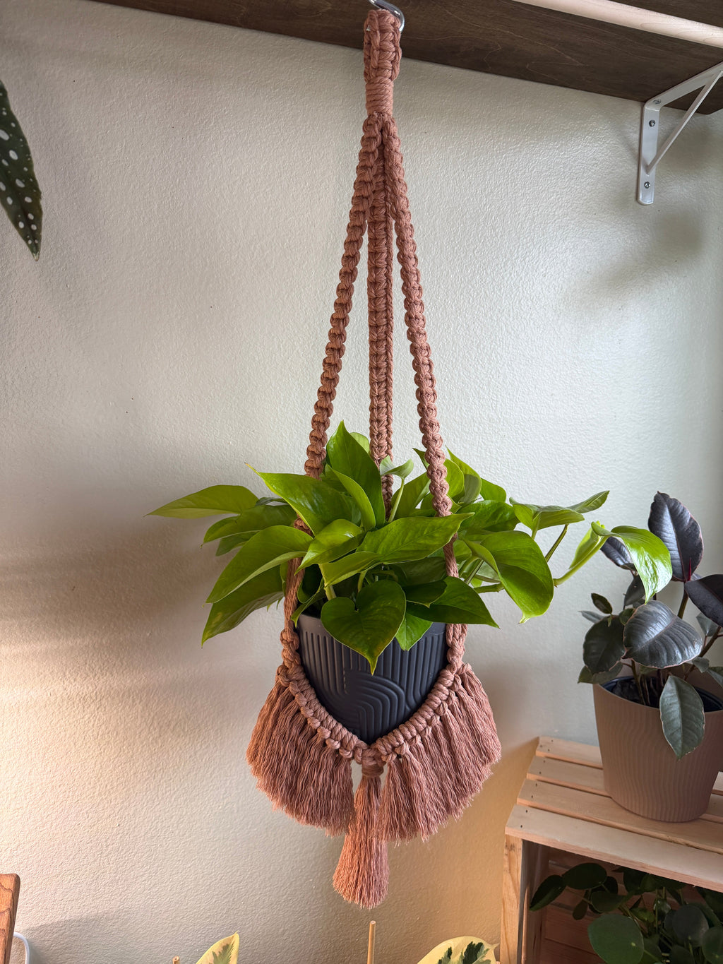 Brushed Out Flair Plant Hanger