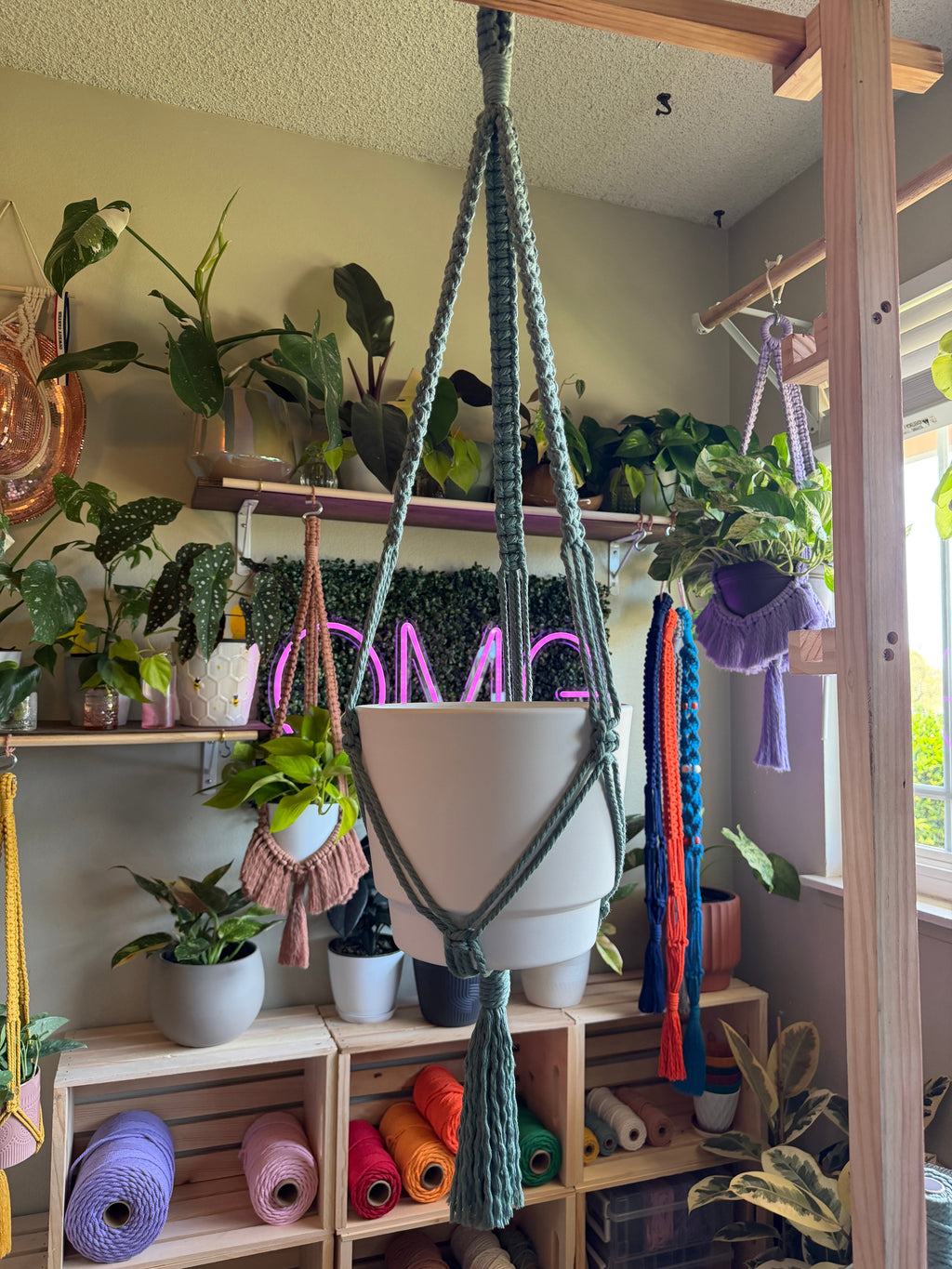 Classic Macrame Plant Hanger