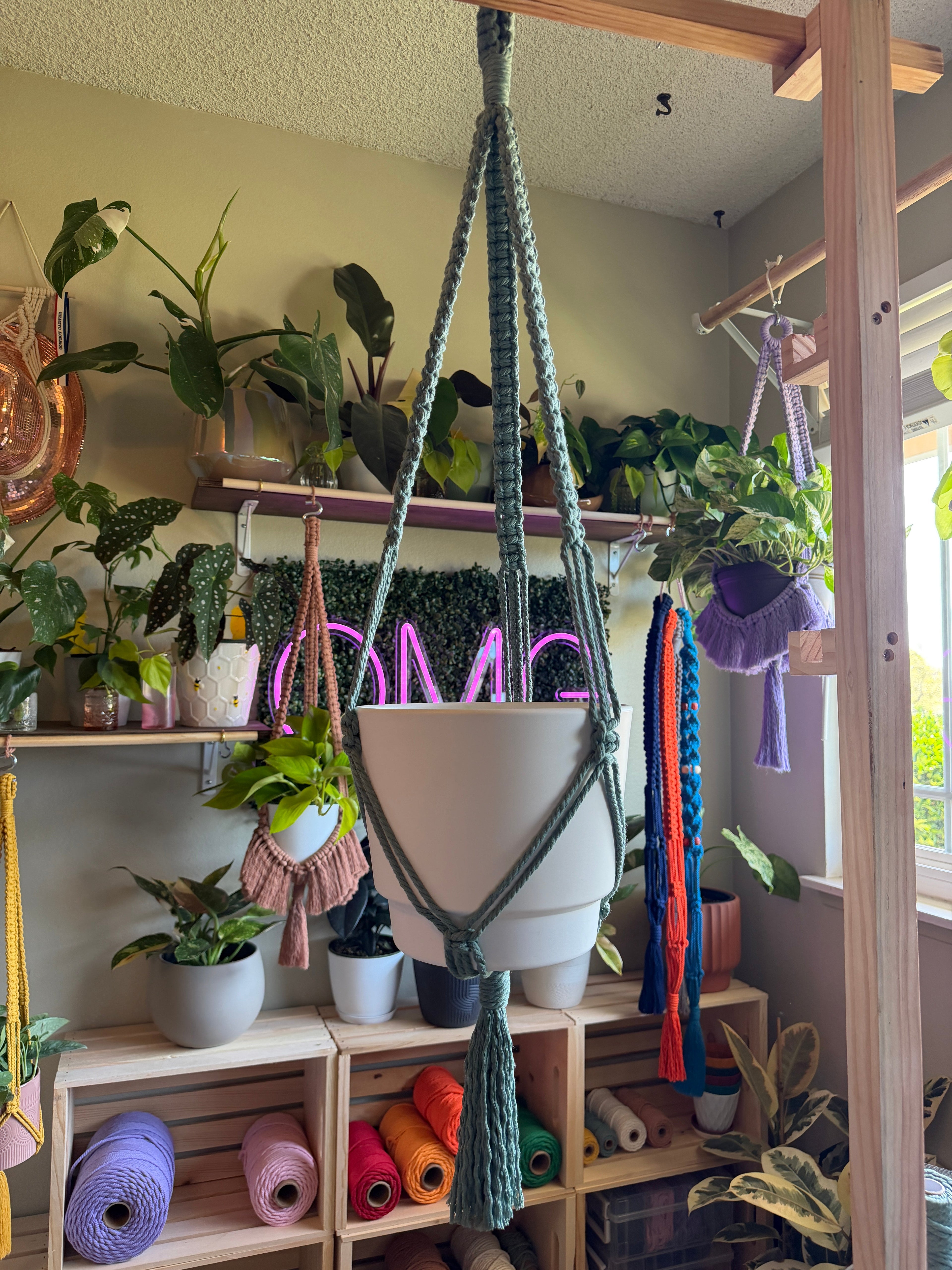 Classic Macrame Plant Hanger