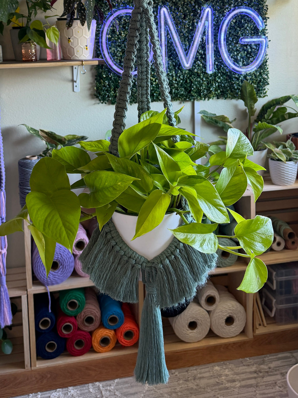 Brushed Out Flair Plant Hanger