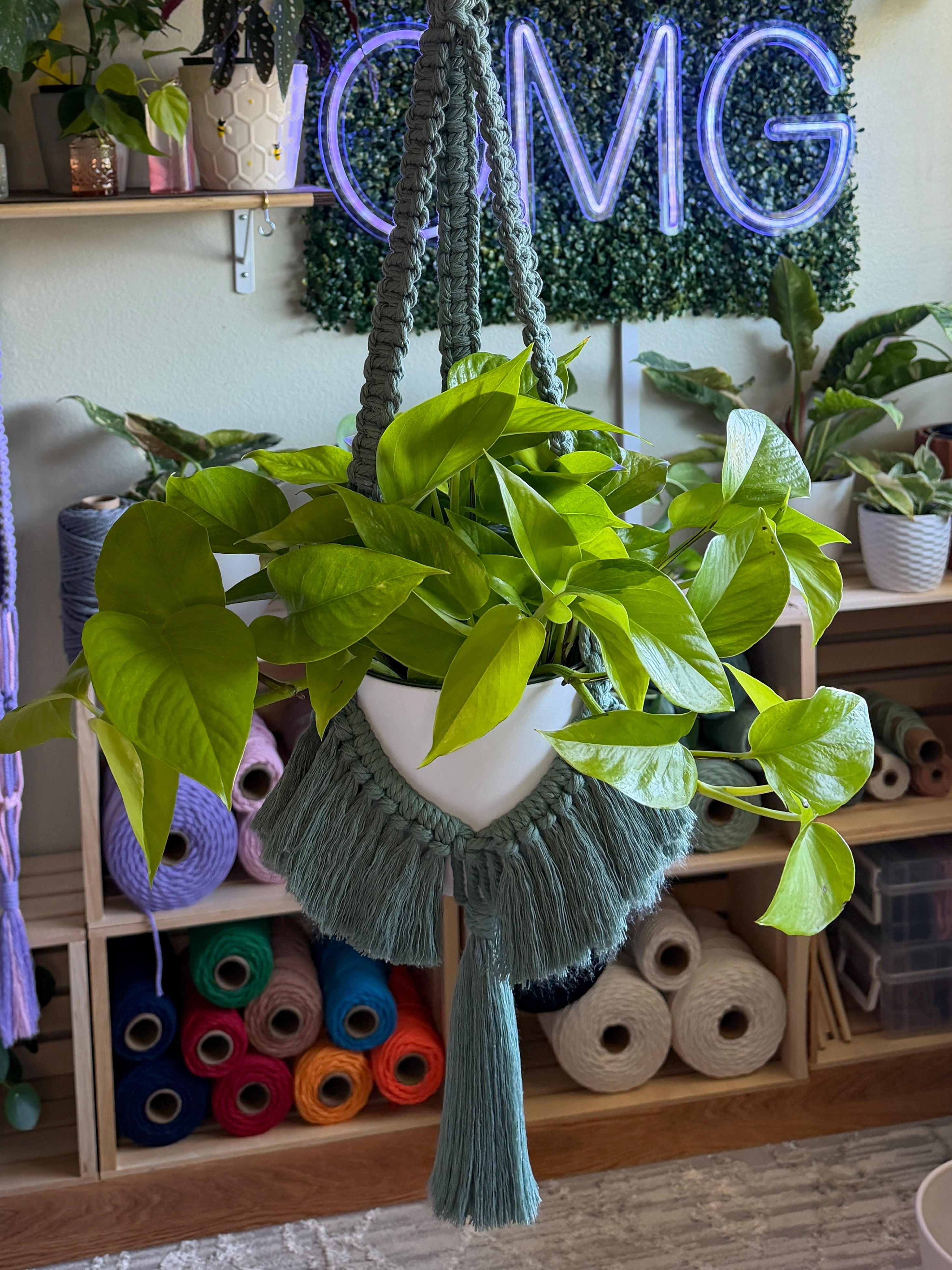 Brushed Out Flair Plant Hanger