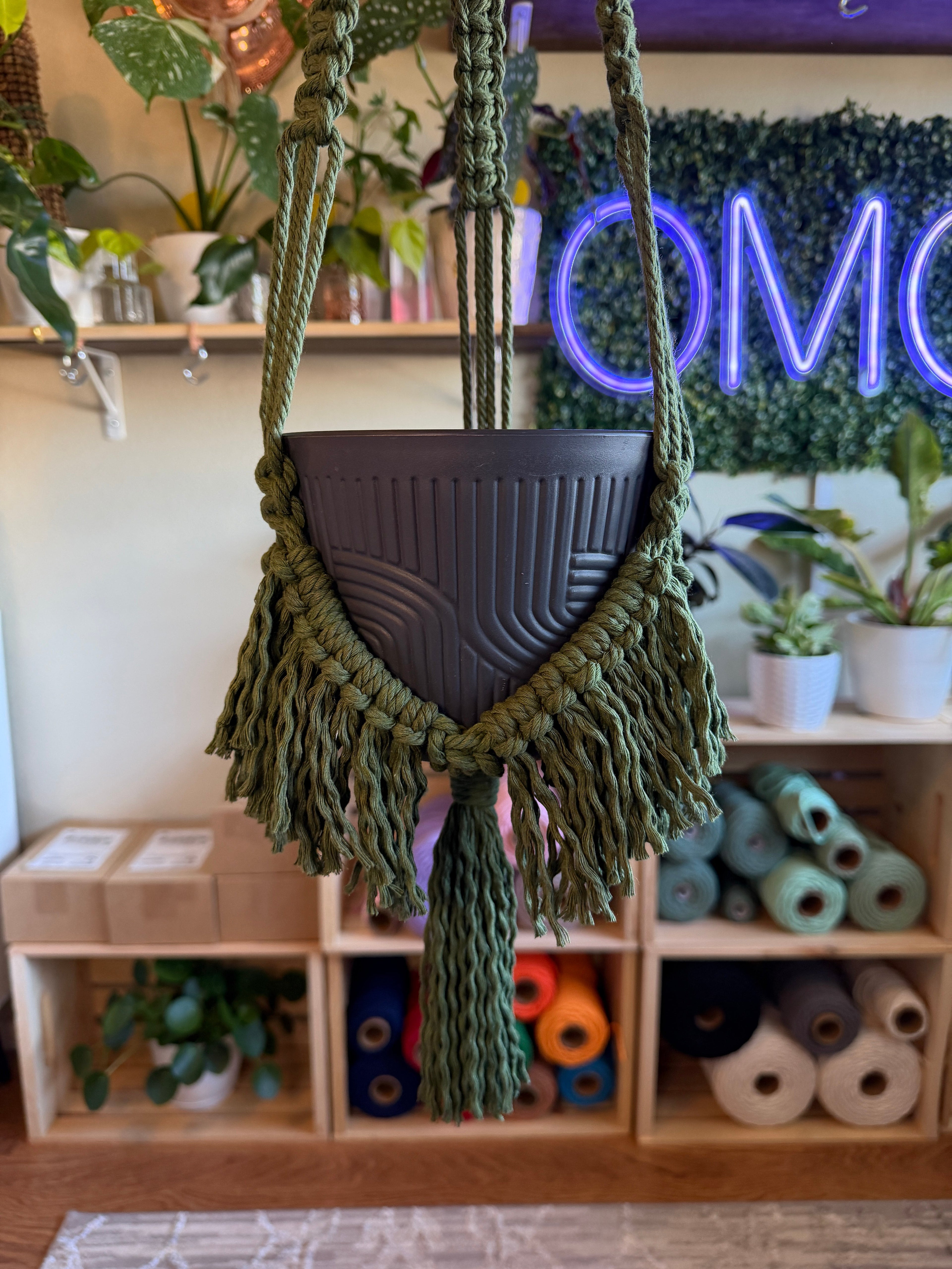 Boho Flair Macrame Plant Hanger