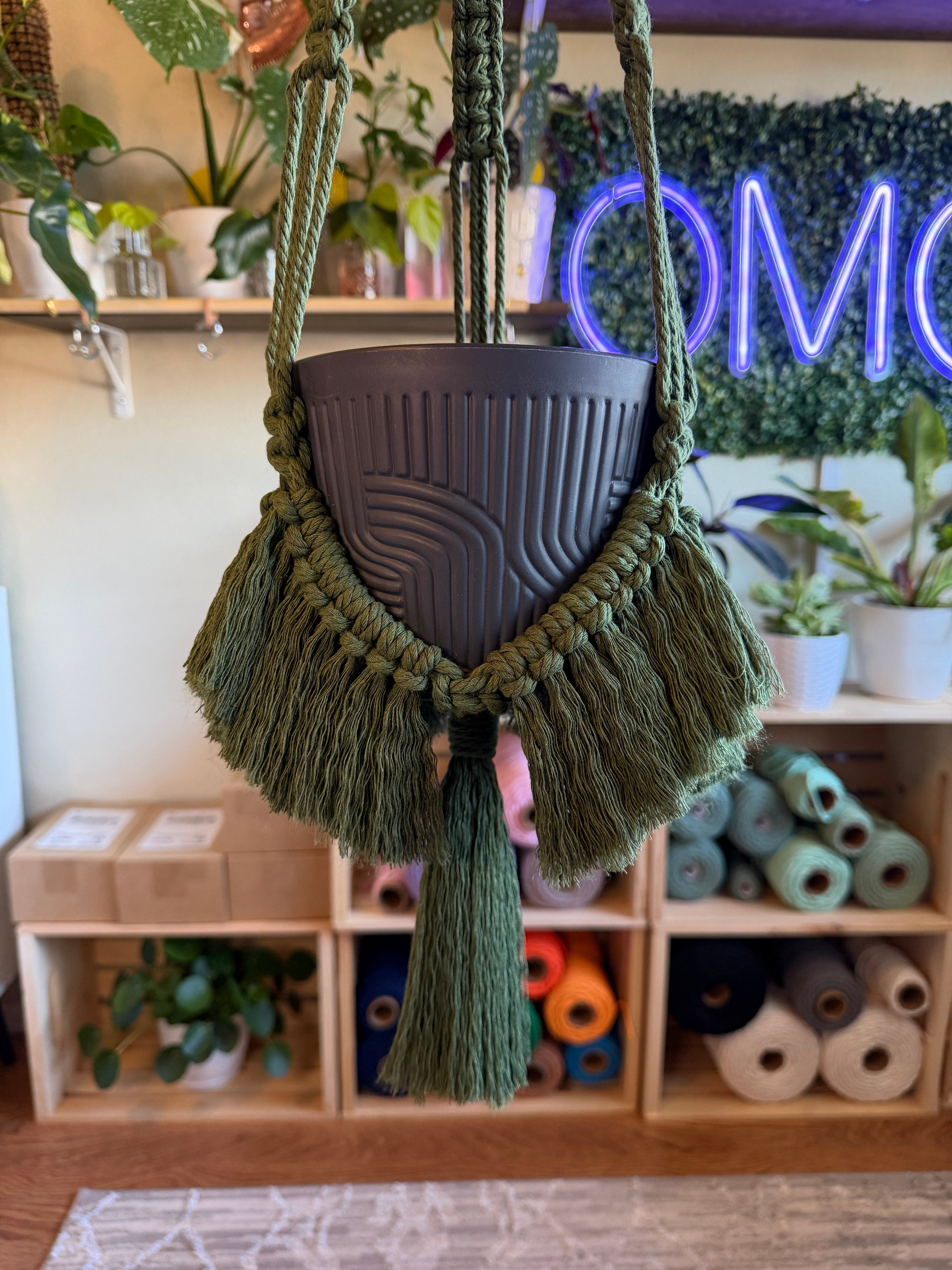 Brushed Out Flair Plant Hanger