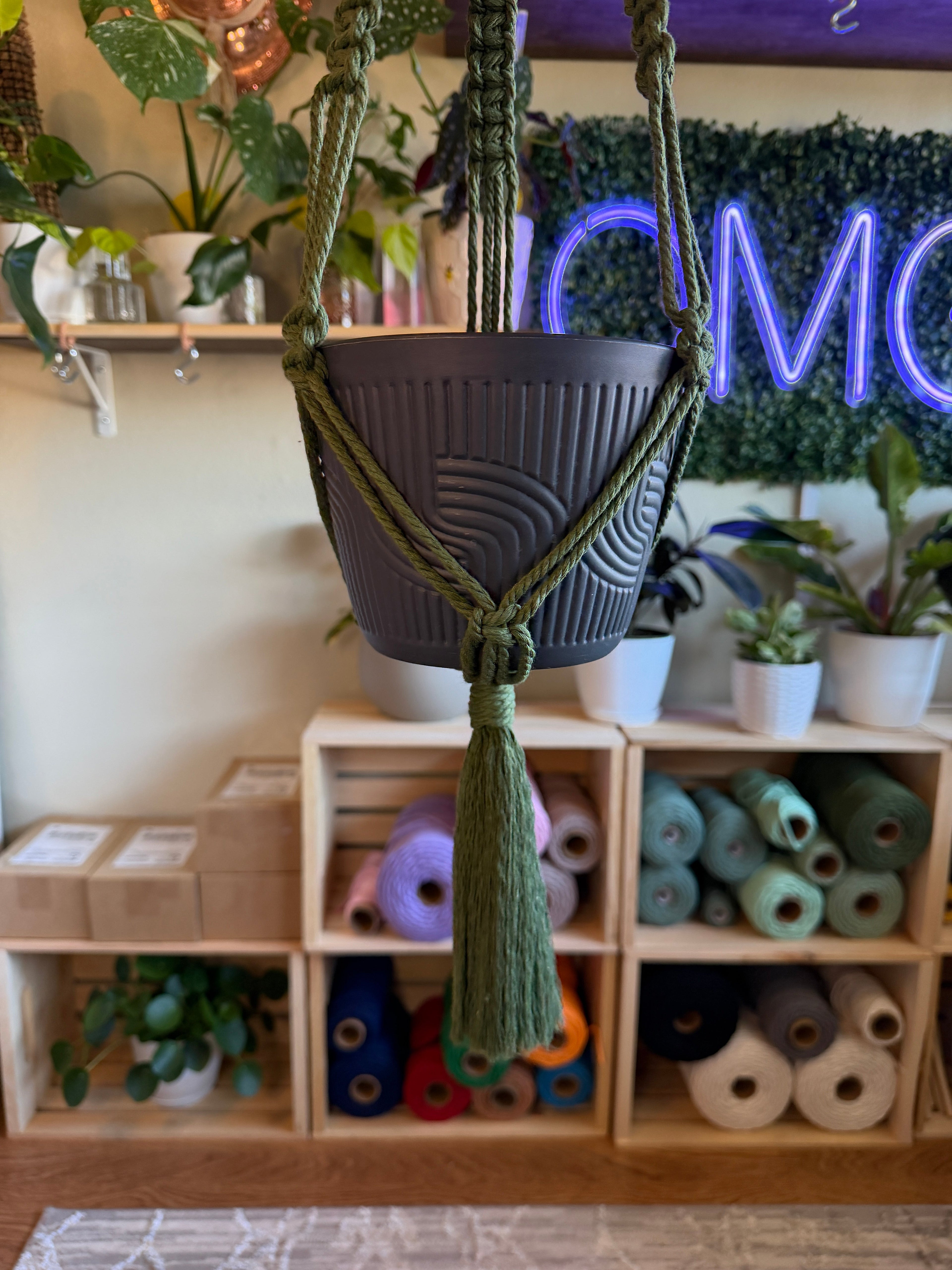Classic Macrame Plant Hanger