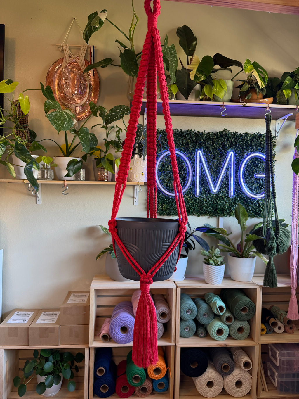 Classic Macrame Plant Hanger