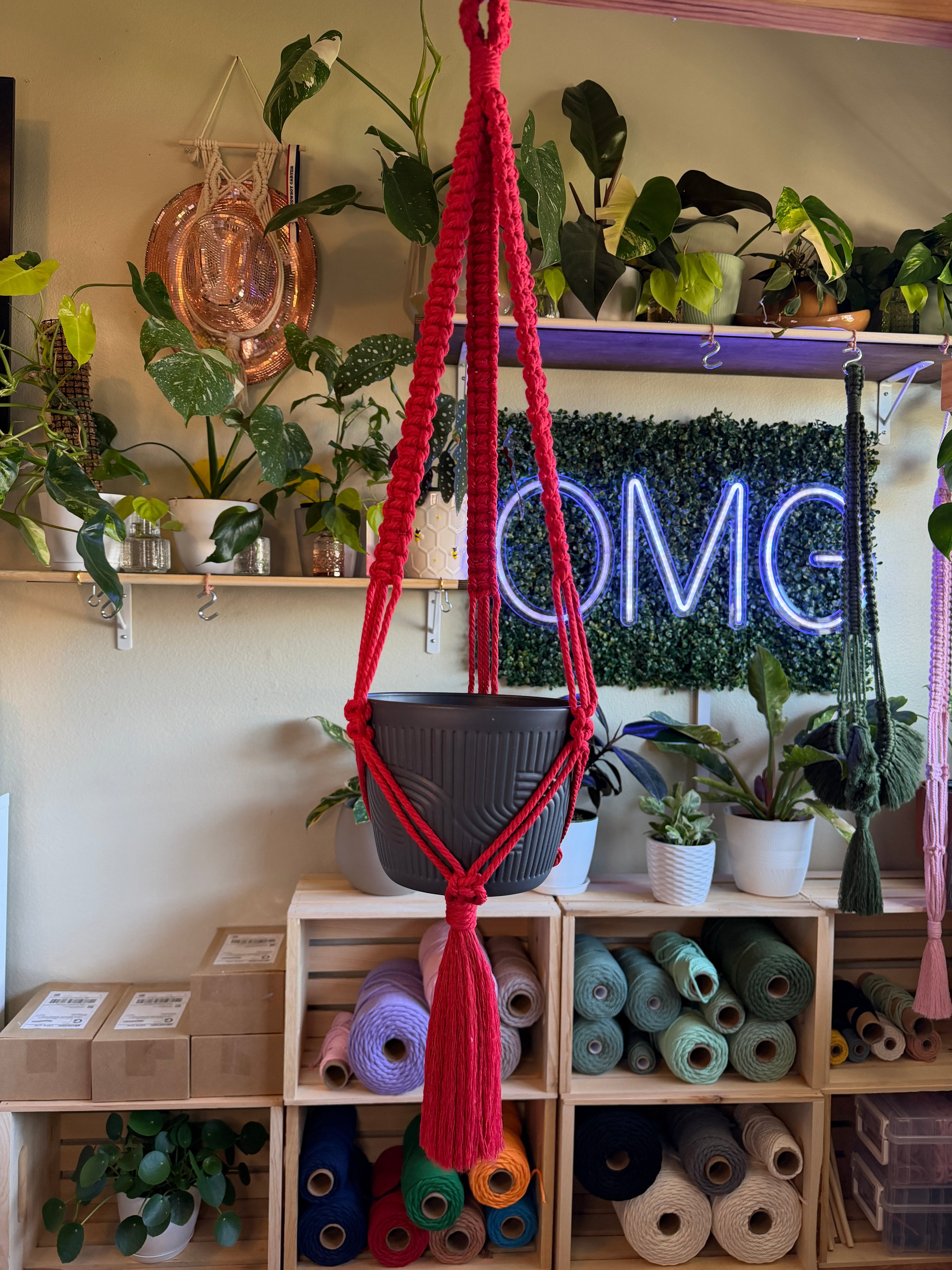 Classic Macrame Plant Hanger