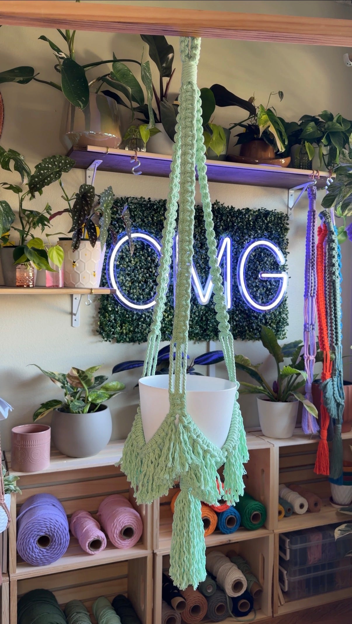 Boho Flair Macrame Plant Hanger