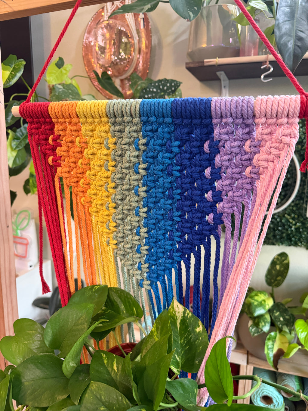Wall Hanging Macrame Plant Hanger