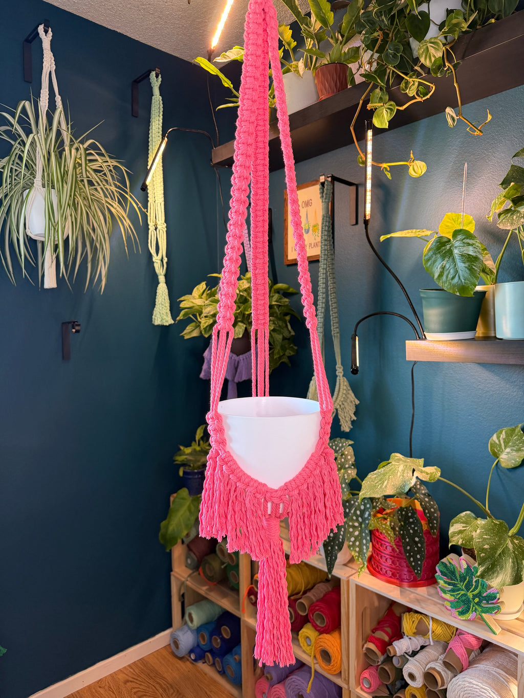 Boho Flair Macrame Plant Hanger