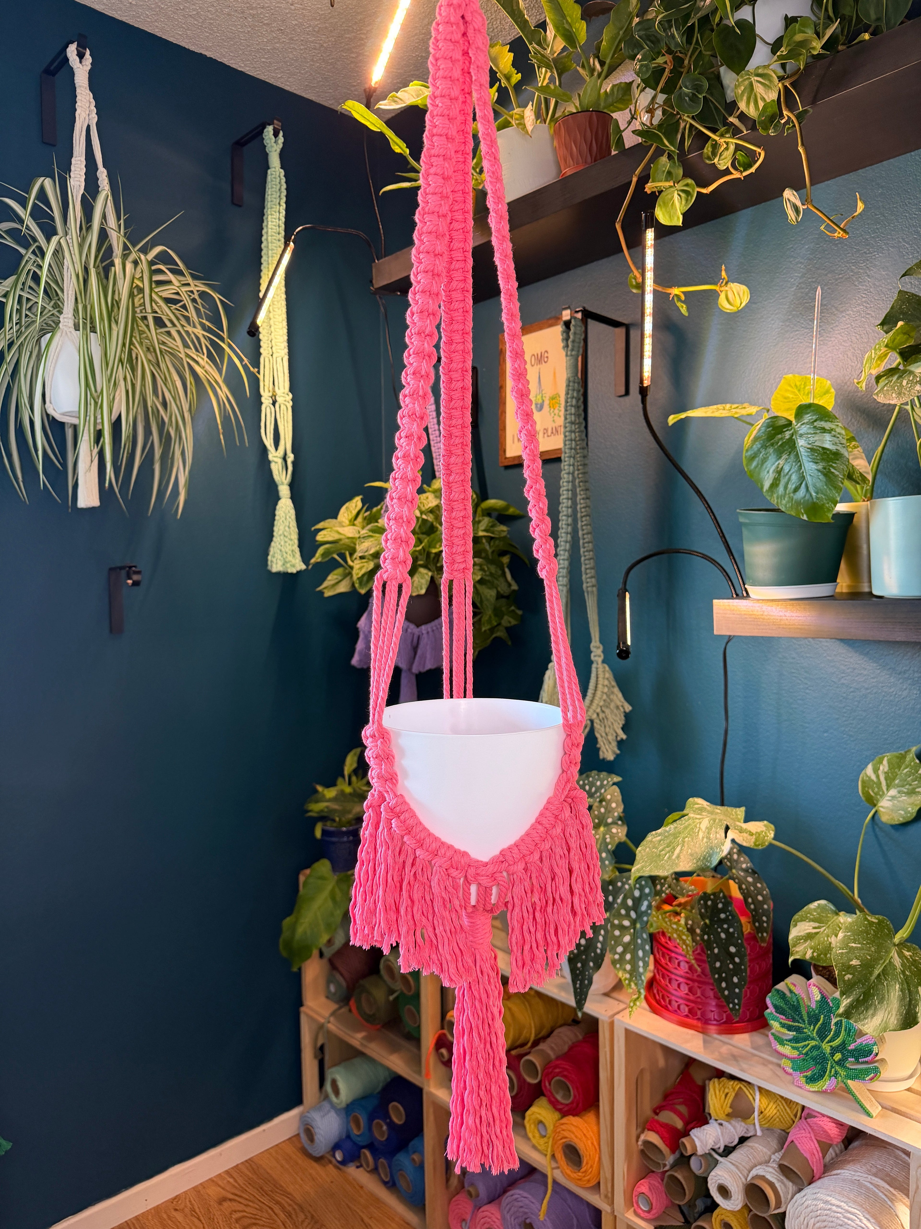 Boho Flair Macrame Plant Hanger