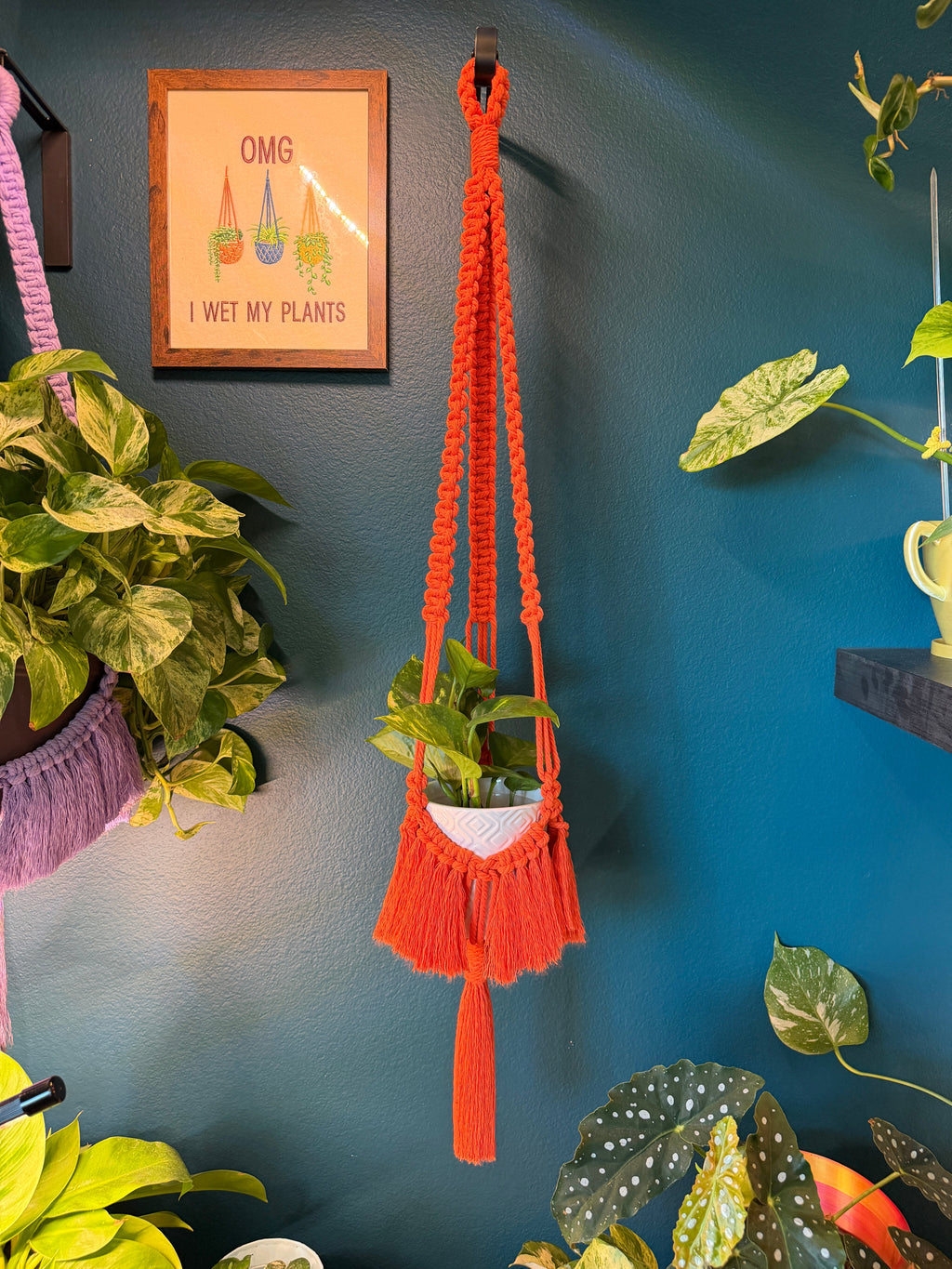 Brushed Out Flair Plant Hanger