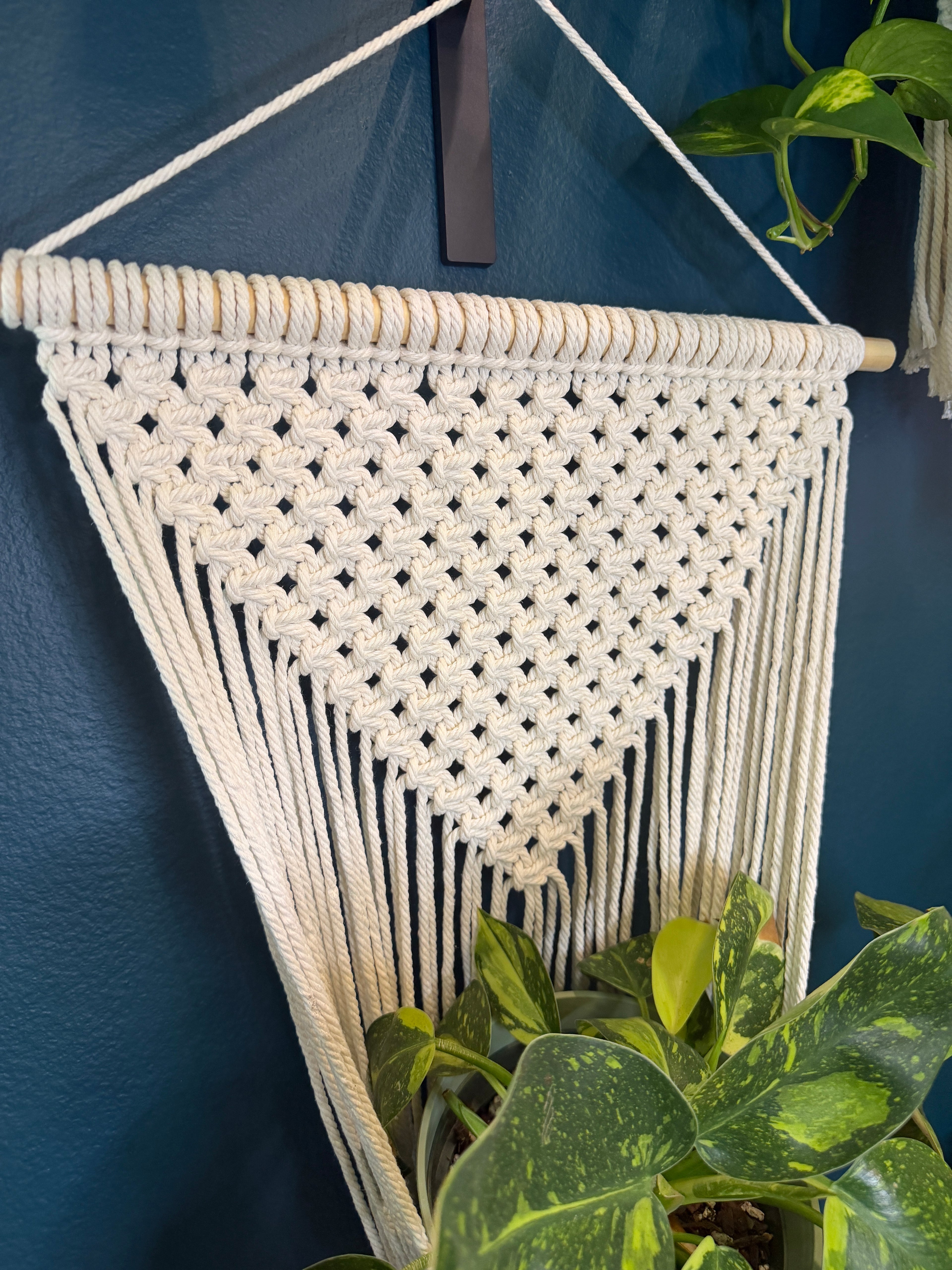 Wall Hanging Macrame Plant Hanger